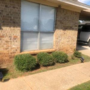 Charming Home in the Piney Woods of East Texas