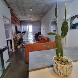 Orbitas 515 Costa Rica - Completo