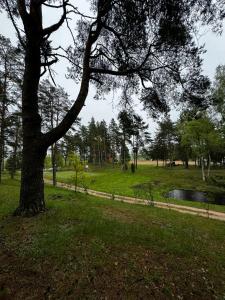 Vasaras mājiņa pie Rāznas ezera Nr 6