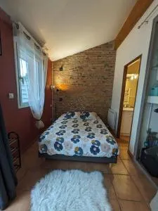 un cocon de briques Rose - Lapeyrouse-Fossat