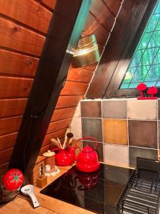 Mrežnički doživljaj