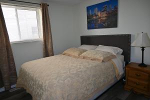 Oasis Suite