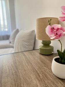 DOBA RENT Wysockiego 104