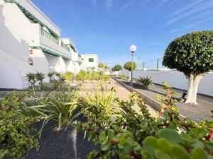 Las Mimosas Beach Sol