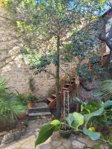 Appartements Le Patio : photos des chambres
