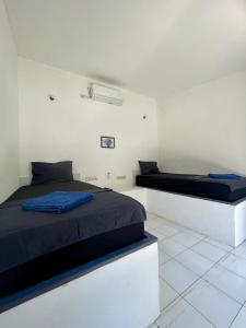 Phòng 2 Giường Đơn Nhìn Ra Hồ Bơi (Twin Room with Pool View)