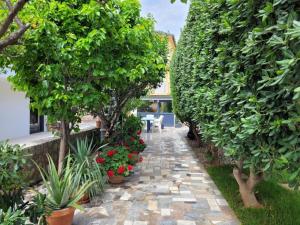 Apartments by the sea Vir - 22750