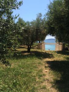 Apartments by the sea Bibinje, Zadar - 23089