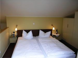 Eisvogel Classic 303