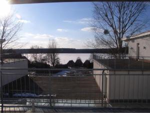 Eisvogel Classic 303