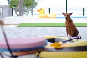 Visas Seaview villa บ้านวิเศษ Pranburi