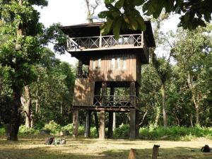 Typical Nepali Kitchen - No Pizza - No Pasta - No Problem !!