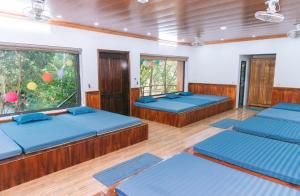 Phòng Ngủ Tập Thể Cho Cả Nam Và Nữ (Mixed Dormitory Room)