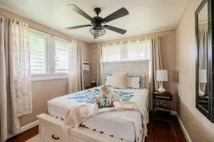 Hale Leilani - Hilo 3BR cold AC - هيلو