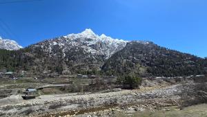 Sangla Valley Camping