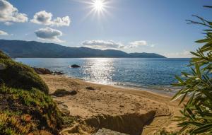 Beautiful Home In Sagone With Kitchen