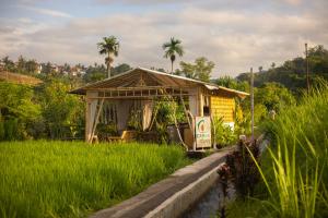 Camani Glamping