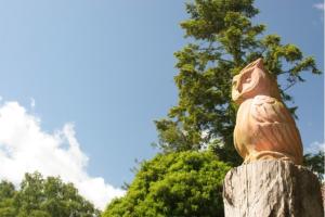 FeWo Ahorn - Ulenhoef