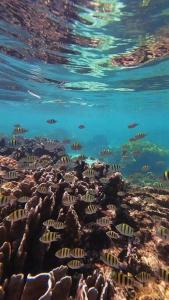 Romantic Sunset Apartment with Balcony 2 min Walk to the Beach