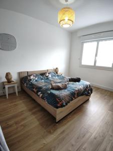 Appartements Gasperi : photos des chambres