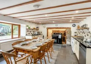 Ducks Paddle - Meshaw