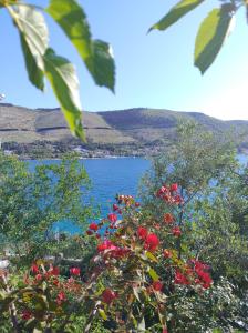 Direkt na moru - Bungalov