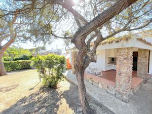 Villa Ibiscus, Notteri img81