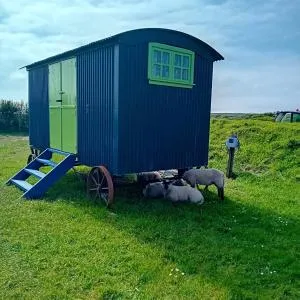 Coast path camping - Marloes