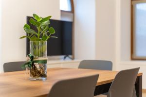 Residenza Stella Alpina