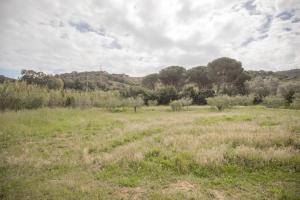 Le Case di Simonetta - HelloElba