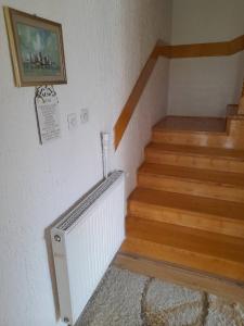 Breza 034- 2