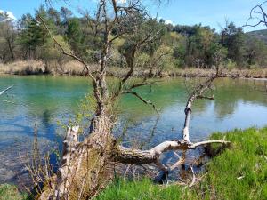 Appartements Lavandoule : photos des chambres