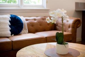 Family-Friendly Comfort