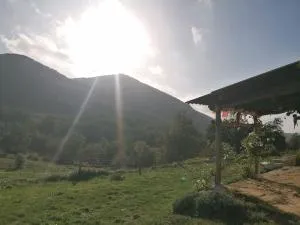 Bright loft with mountain and nature view - 索格雷尼