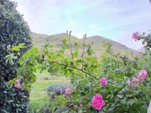 Maisons de vacances Bright loft with mountain and nature view : photos des chambres