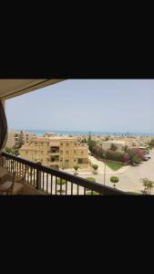 الميرغني مصر الجديده