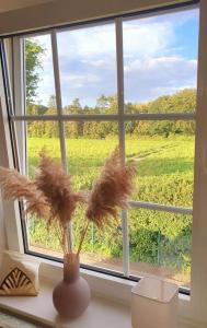 Ferienwohnung mitten in der Natur