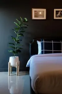 Black Turtle - Ujong Salang