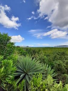 La Table d Alexandre Gîte de charme entre mangrove et mer