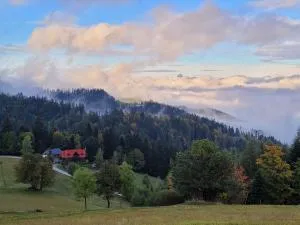 Domek na Obidzy - 皮夫尼奇纳