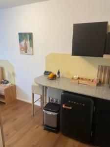 1 Zimmer Appartement nahe Gmunden Top2