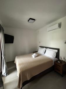 Naiades Villas Lilea