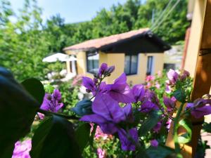 Holiday Home Valentin 