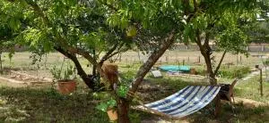 Noctua Villam GuestHouse - 大马里尼亚