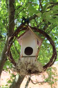 Noctua Villam GuestHouse