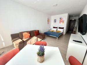 Agapella Apartamenty- Studio Arena