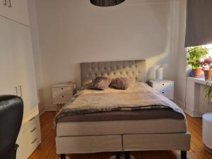 Charming city centre apartment