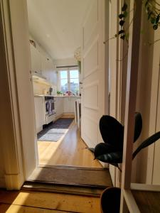 Charming city centre apartment