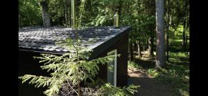 Miško sielos namelis su pirtele