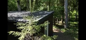 Miško sielos namelis su pirtele - Beržynė II